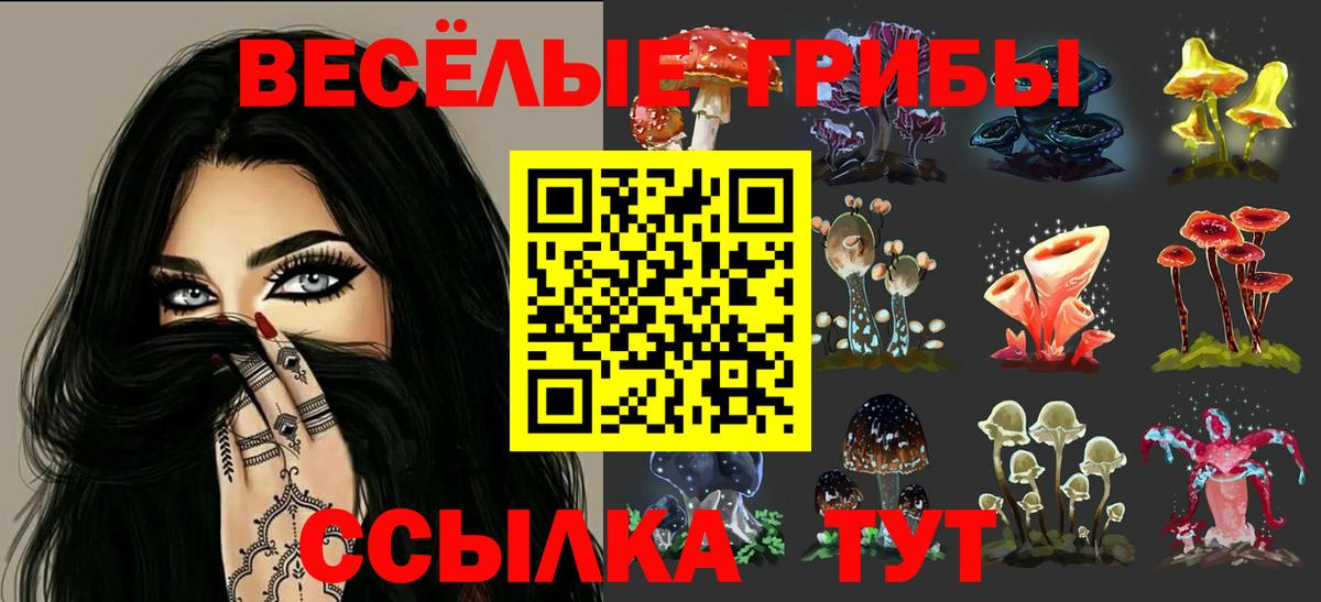 Норильск  Галлюциногенные грибы GOLDEN TEACHER  Вход с VPN 
